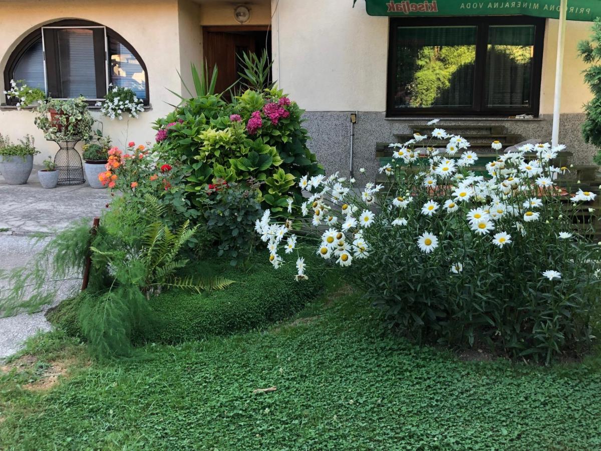 Apartman Balkan วิโซโค ภายนอก รูปภาพ