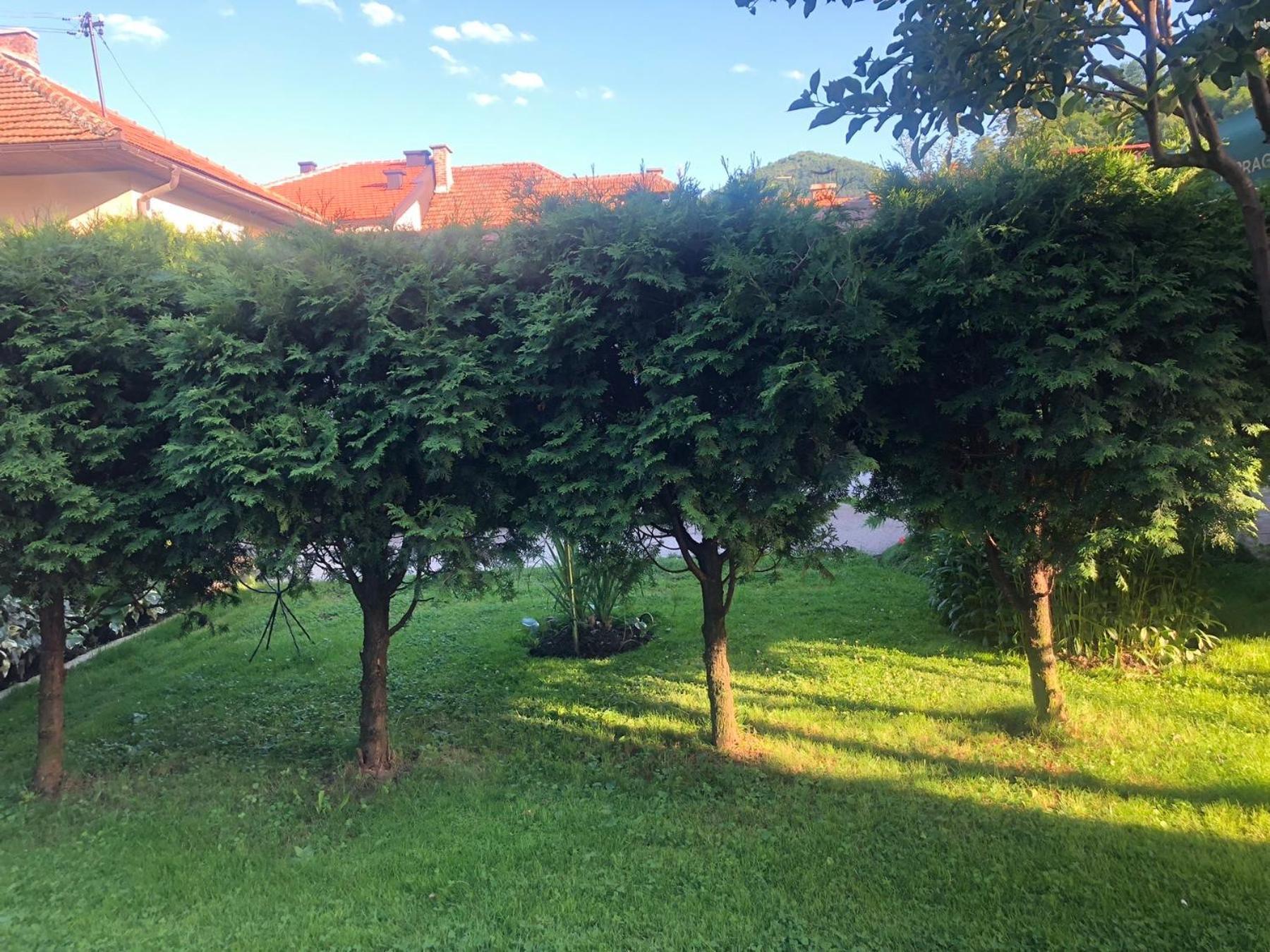 Apartman Balkan วิโซโค ภายนอก รูปภาพ